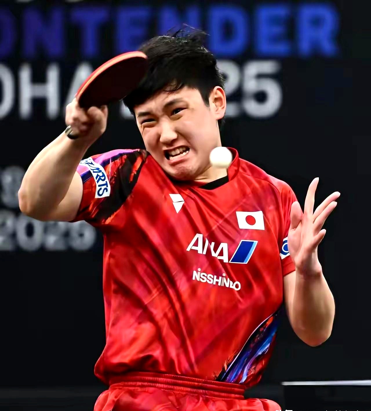 关于波兰乒乓球队力克韩国乒乓球队,张本智和高光表现的信息 关于波兰乒乓球队力克韩国乒乓球队,张本智和高光表现的信息