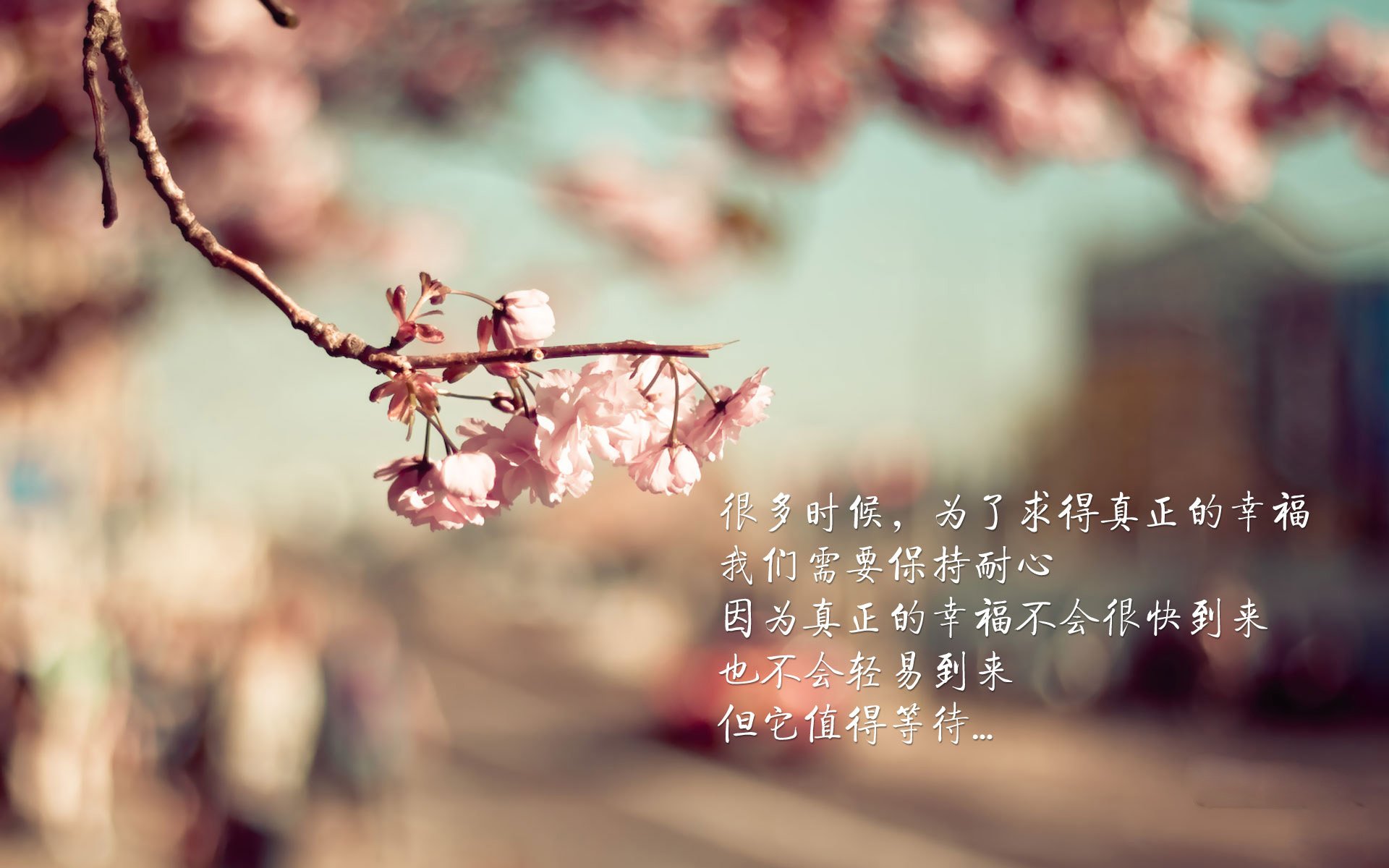 辛纳，新王加冕的终极夜—他以统治之姿，终结了属于巨头的旧时代