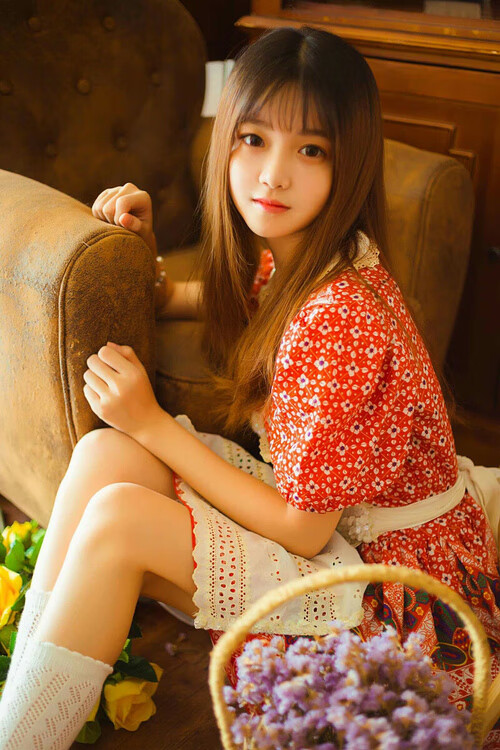 方案（供您选择）