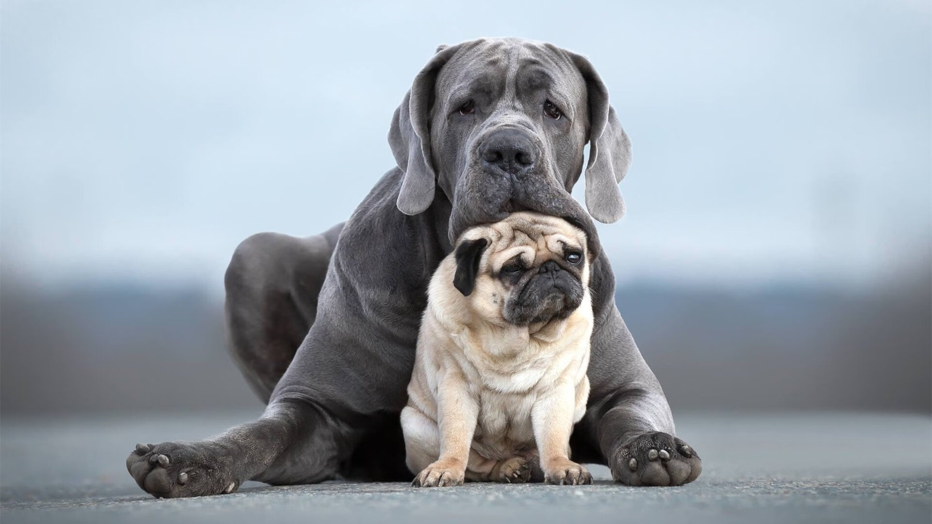 欧冠奇迹夜，威尔士钢刃收割那不勒斯，门迪化身关键先生定江山