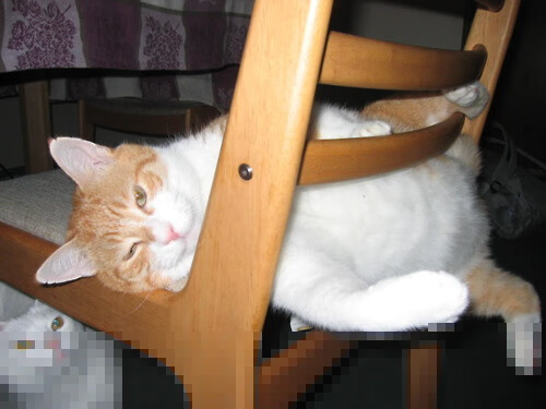 量子风暴击碎传控神殿，2026世界杯虚拟巴萨的东方滑铁卢