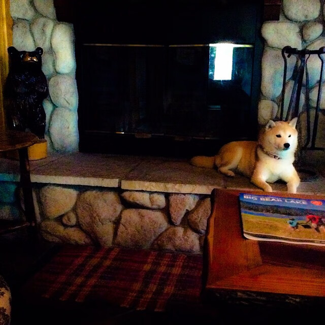 双雄对决之夜,字母哥血战到底,马克西末节封神