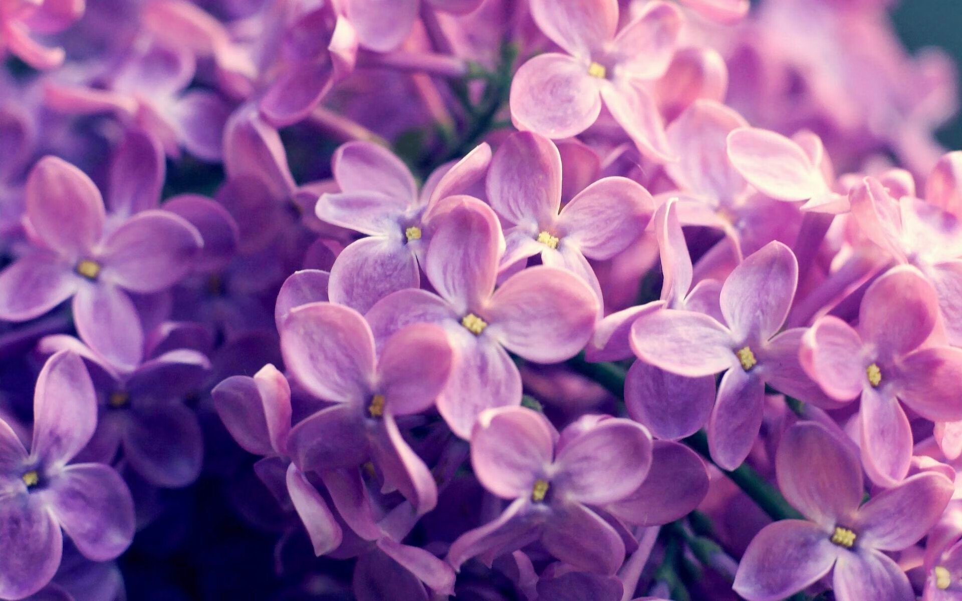 配角之王，哈登如何以沉默改写胜负