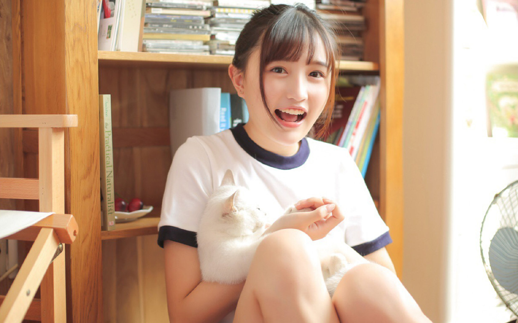 双城记，浙江钢与广东火，及另一座城的欧文