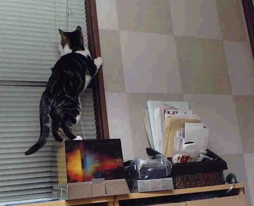 历史只铭记燃烧的秒针