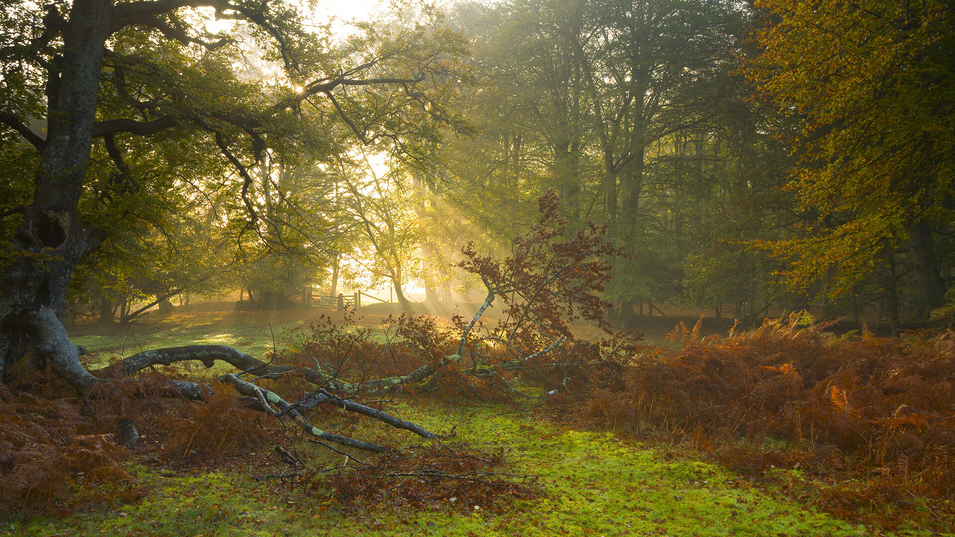 铁壁与风暴，当阿坎吉的沉默之墙，迎上莱比锡的冰岛寒流