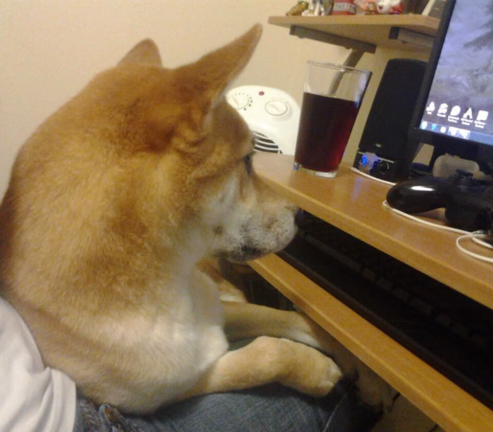 布伦森的冰与广东队的火，当两种关键战基因隔空碰撞