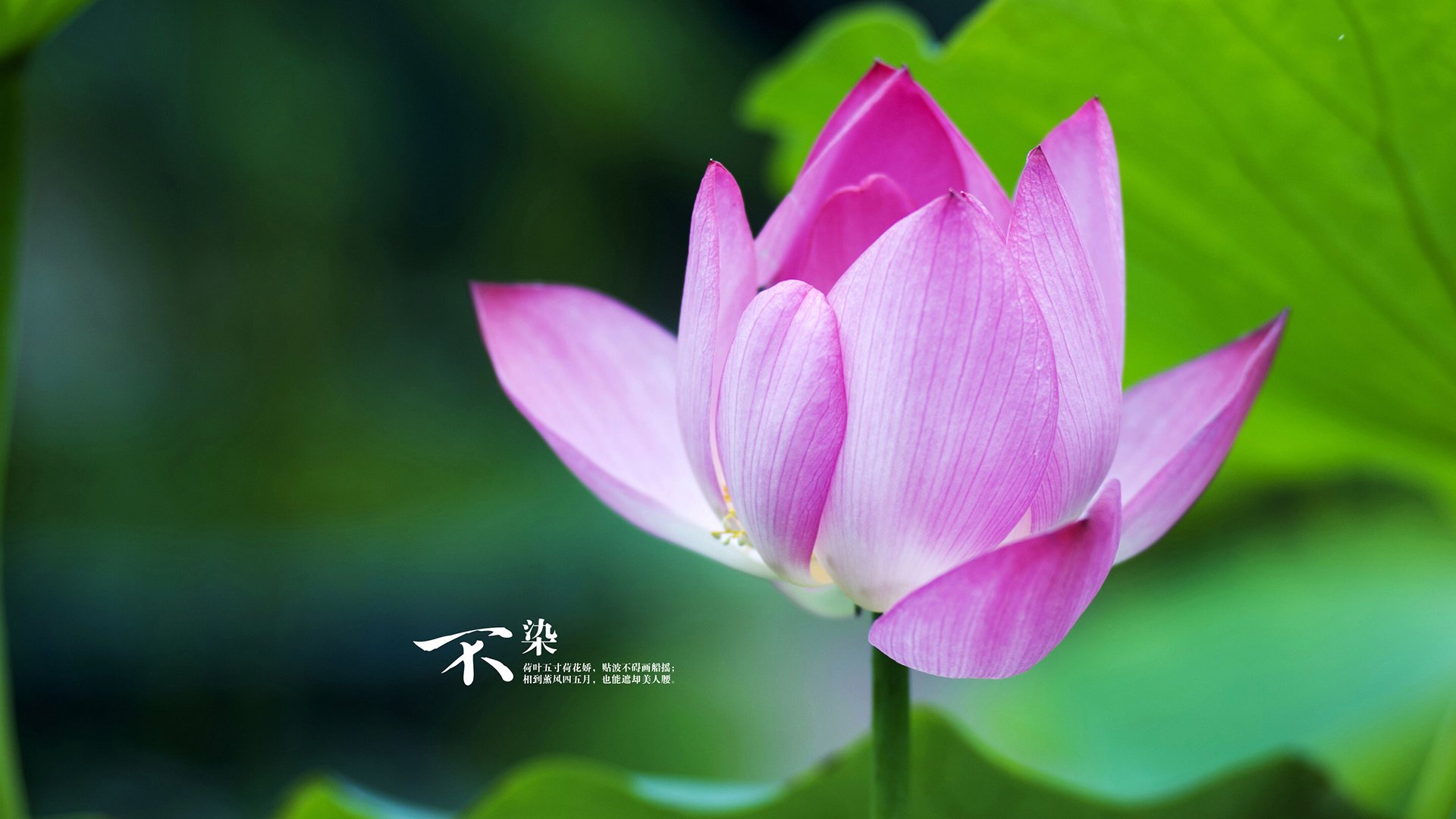 爱游戏入口-错位时空，当虚拟杰伦格林点燃热火vs快船的科技战场