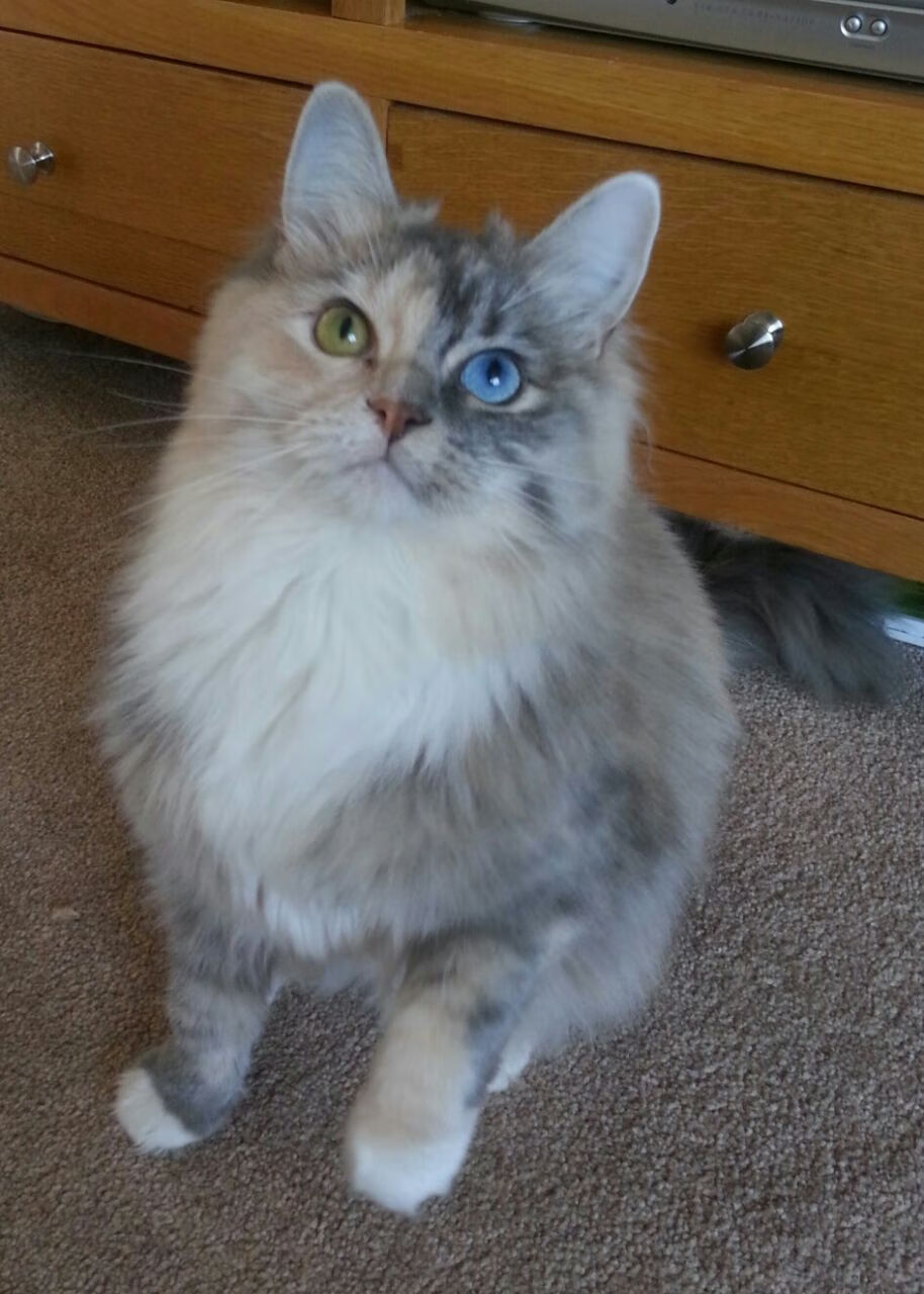 唯一性的双重奏，太阳压哨绝杀开拓者与班凯罗F1年度争冠的传奇时刻