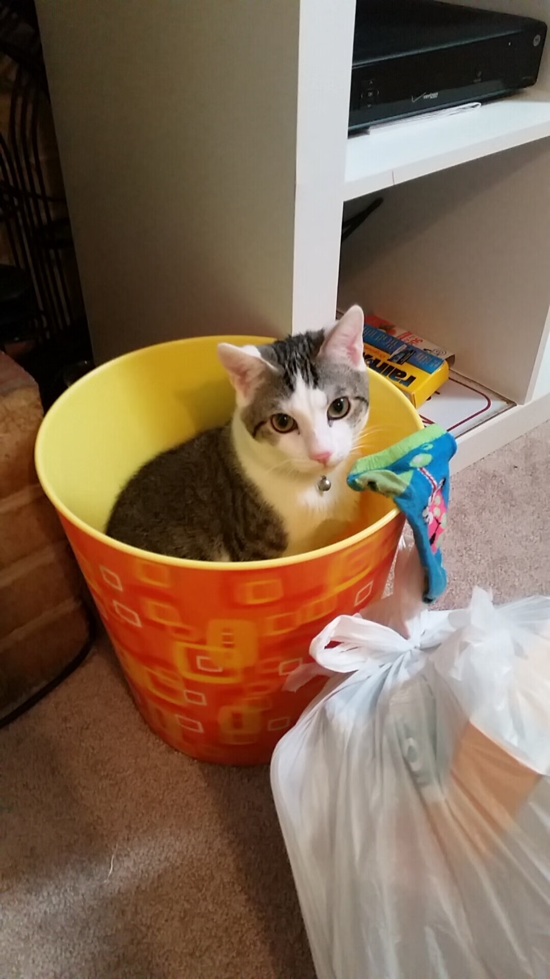 南方与北方的角力，当春天之子用足球回应橄榄球的呐喊