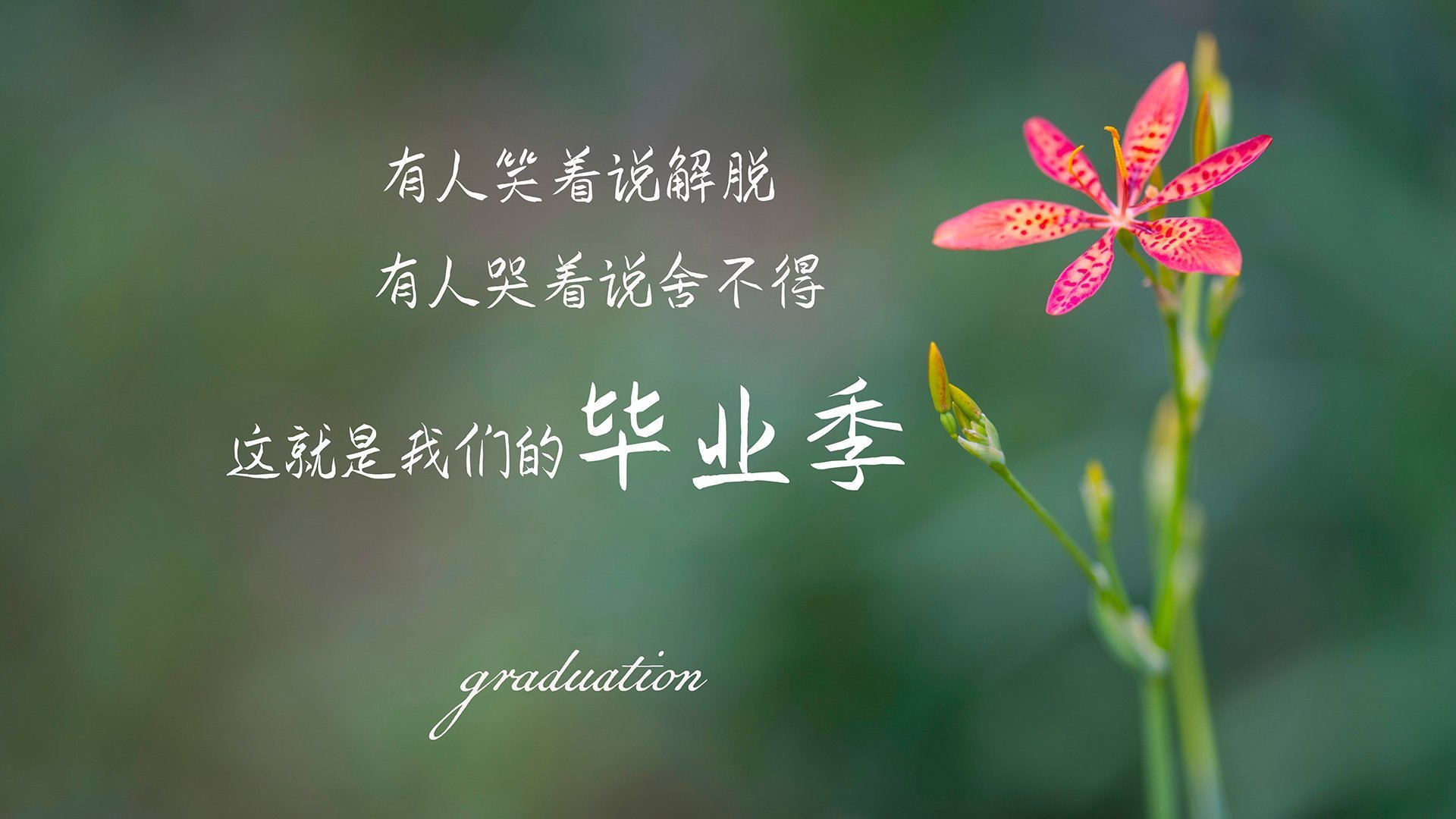 终结者,当拉什福德撕碎纪录,红黑军团碾碎神话