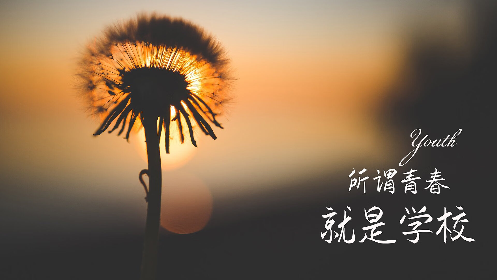 摩洛哥之刃,2026世界杯A组绝杀之夜,防守反击的终极诠释