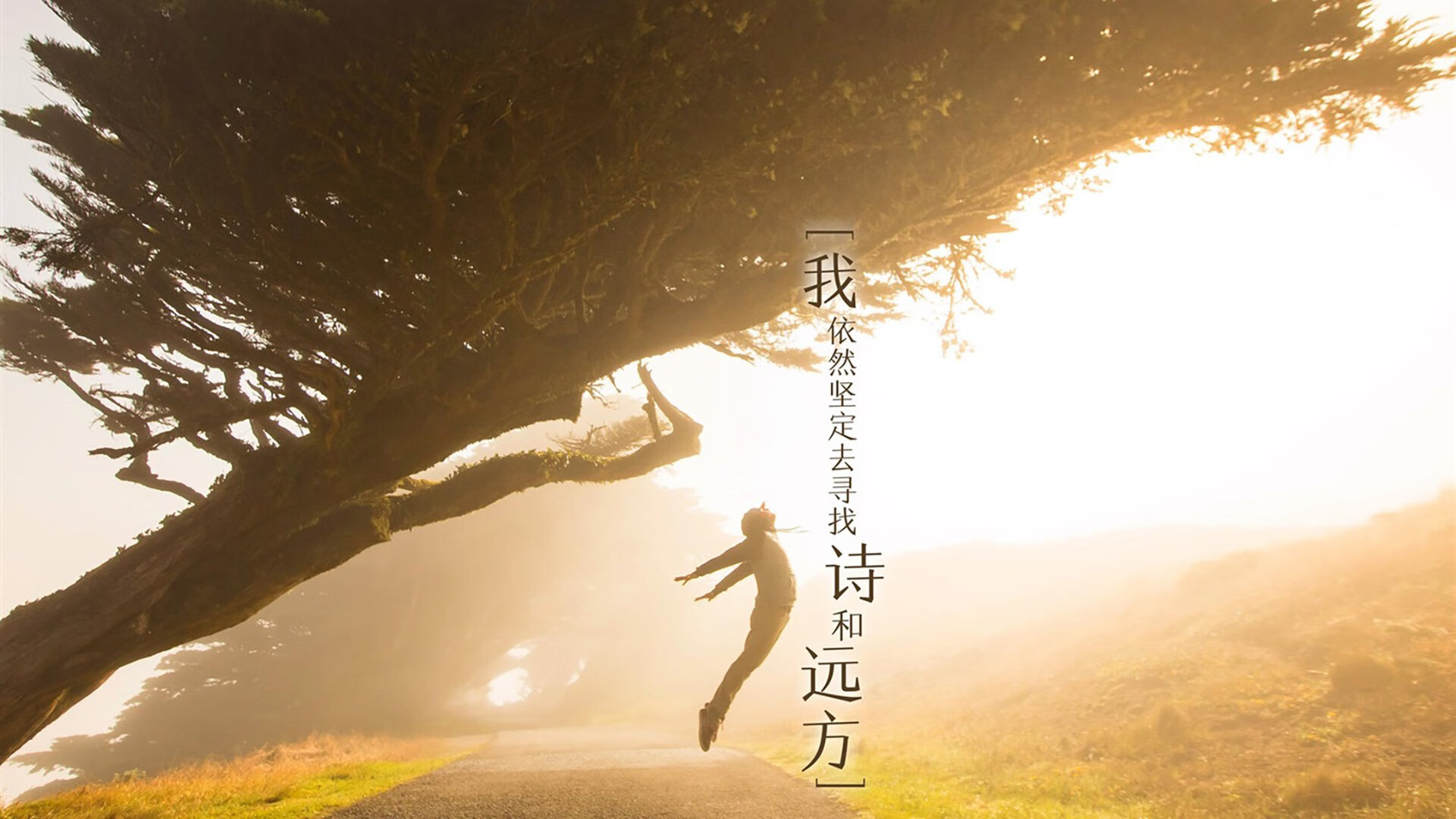 孤星破阵，2026世界杯D组焦点战，厄瓜多尔铁血压制葡萄牙，久保建英以一己之力改写南美足球剧本